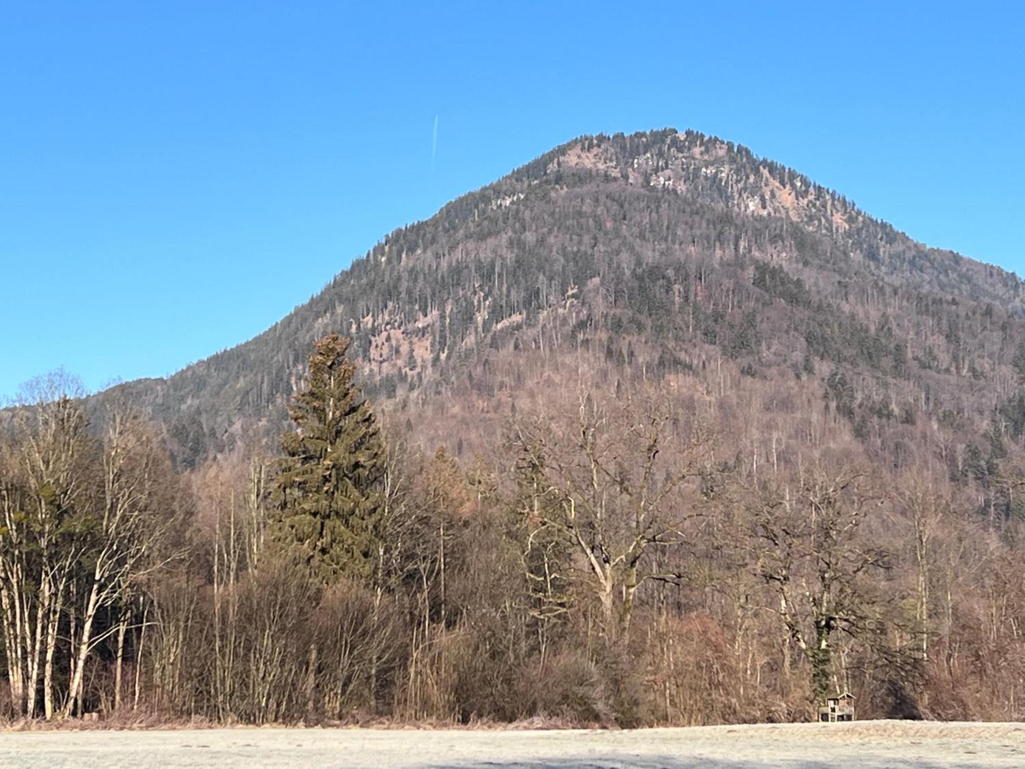 Ferienwohnung Bergwelten Oberaudorf Buitenkant foto
