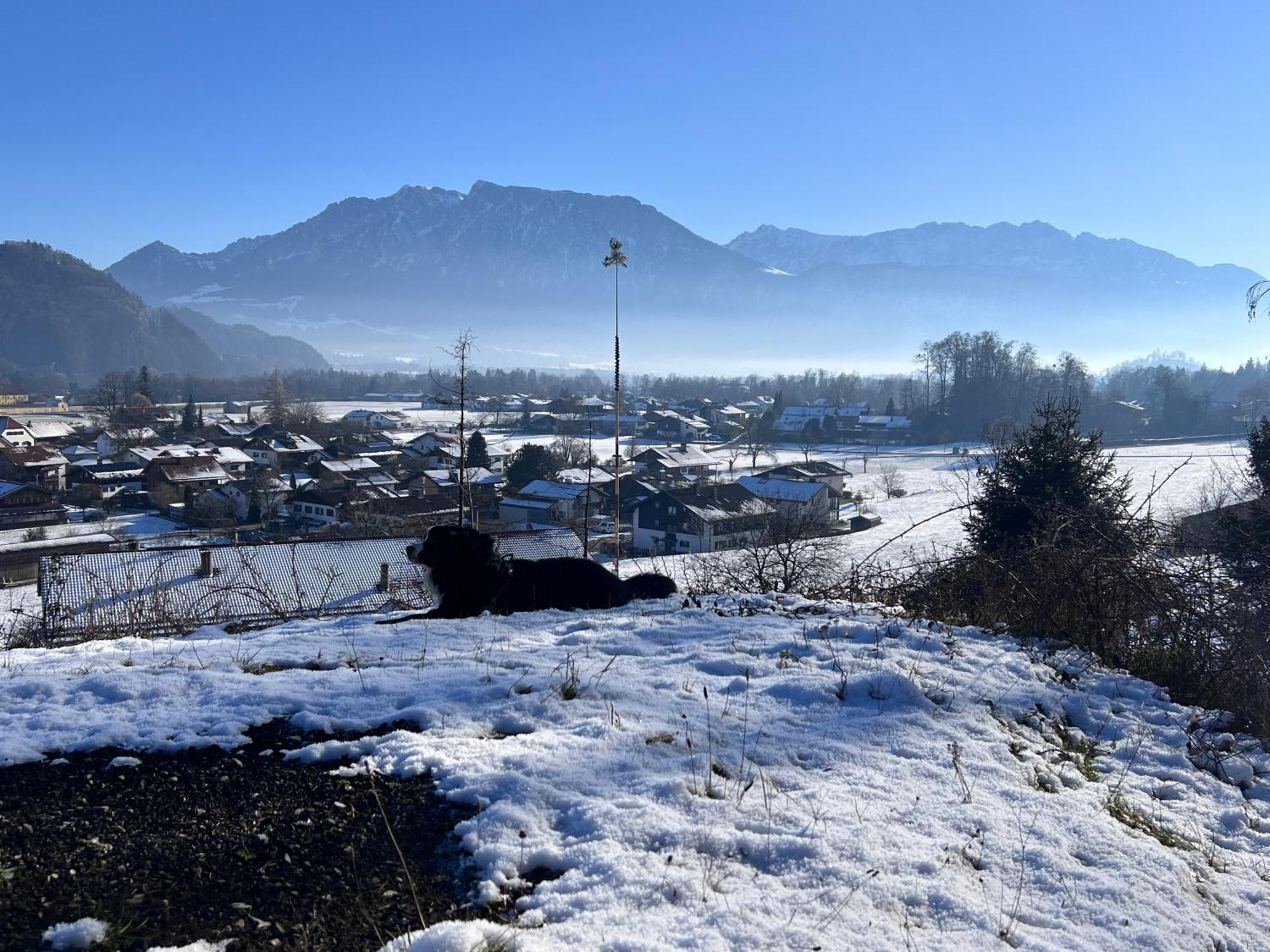 Ferienwohnung Bergwelten Oberaudorf Buitenkant foto
