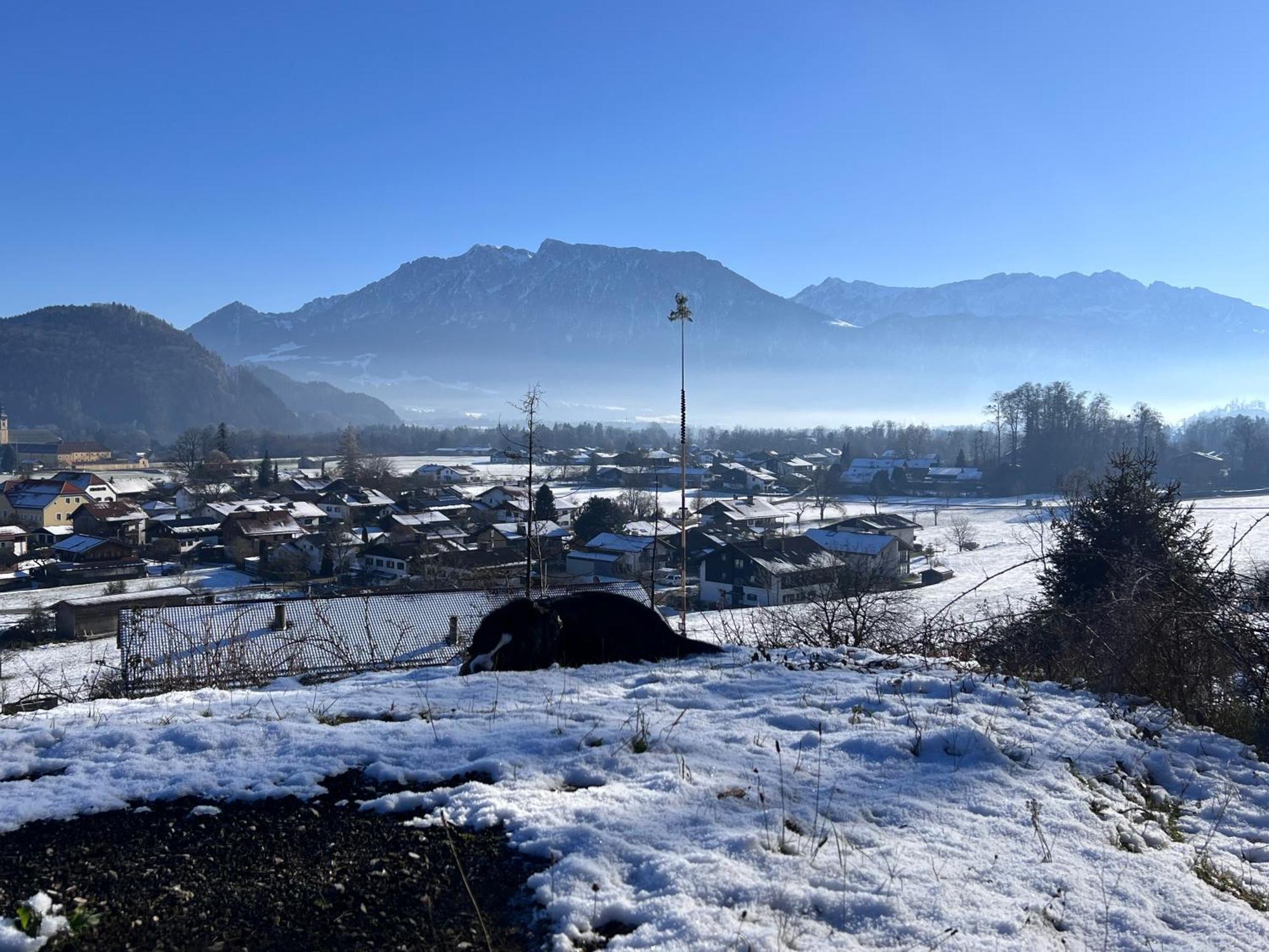 Ferienwohnung Bergwelten Oberaudorf Buitenkant foto